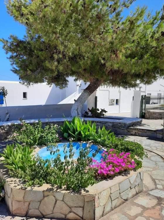Medusa Accommodation Livadakia Exterior photo