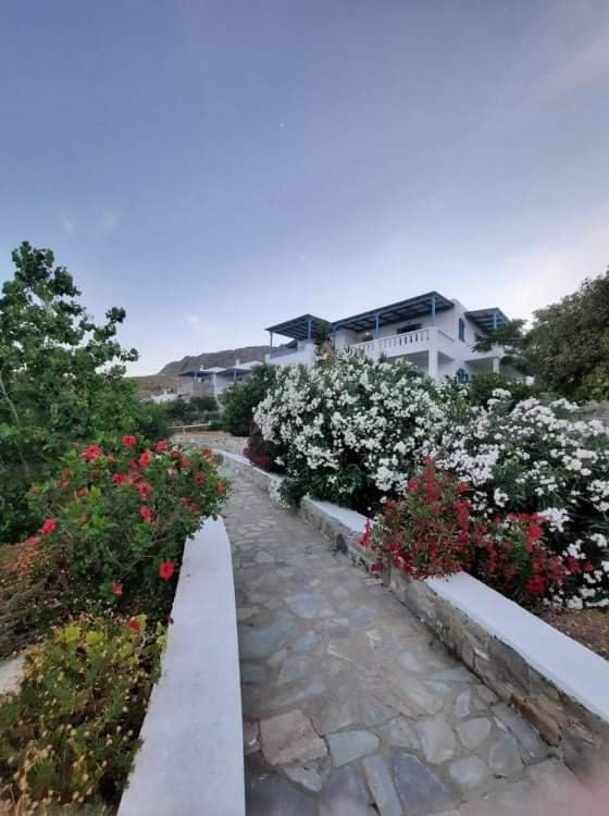 Medusa Accommodation Livadakia Exterior photo